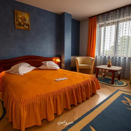 Pensiune Pensiunea Serena Cluj-Napoca