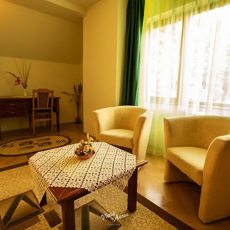 Pensiune Pensiunea Serena 5*