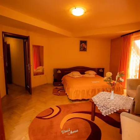 Pensiunea Serena Cluj-Napoca